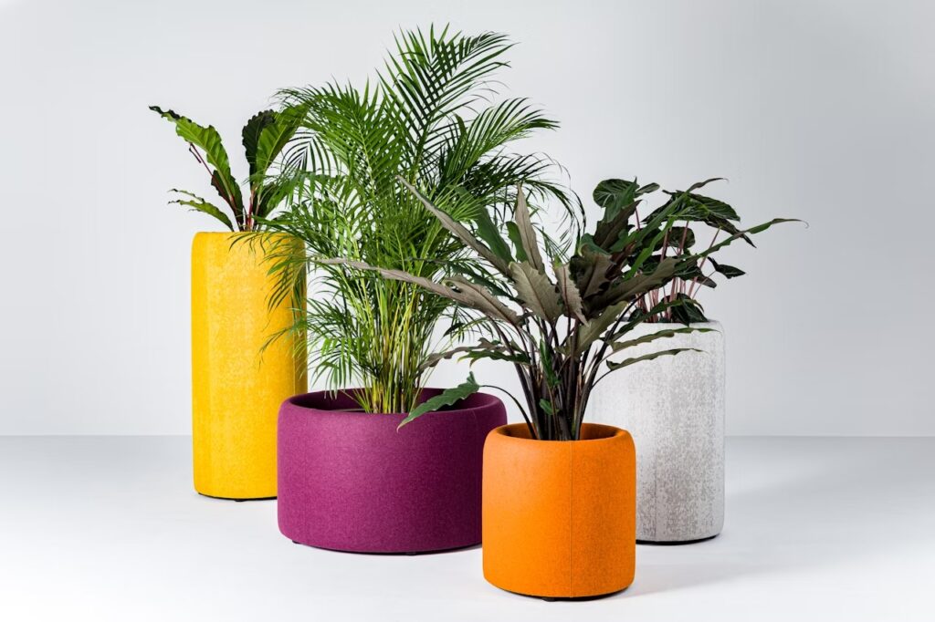 SOLUTION-ACOUSTIQUE-BUZZIPLANTER-BY-BUZZISPACE-MCOLORIS-JAUNE-ORANGE-VIOLET-BLANC