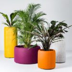 SOLUTION-ACOUSTIQUE-BUZZIPLANTER-BY-BUZZISPACE-MCOLORIS-JAUNE-ORANGE-VIOLET-BLANC